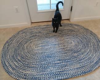 braided rug, cat is Willy Nelson and will be moving so he is not up for sale