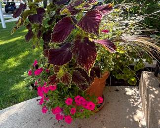 Large Terracotta Garden Planter with Mixed Annuals