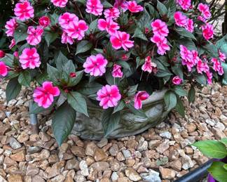 Vintage Cast Concrete Garden Planter with SunPatiens Impatiens
