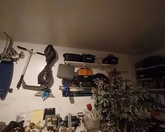 skaeboards