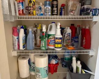 Assorted Household Cleaning Supplies