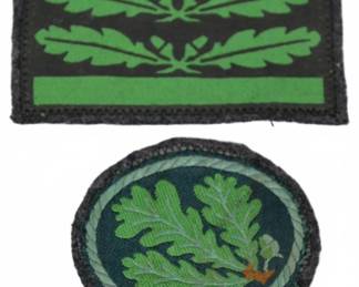 WWII German Camouflage Rank Insignia Pair