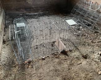 Cage - Capture a pesky visitor