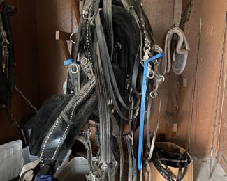 Horse Tack
