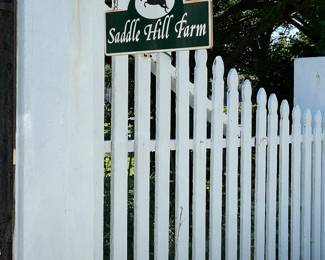 Horse & Estate - Moving Sale
