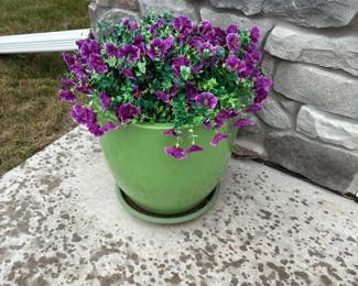Pot with Plants
