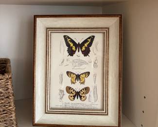 Butterfly print