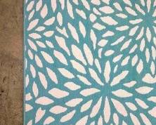 aqua outdoor rug