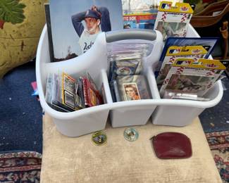 SportsFootball, baseball, pokeman