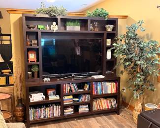 Entertainment Center