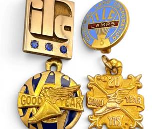 GoldFilled Pins 9g Total