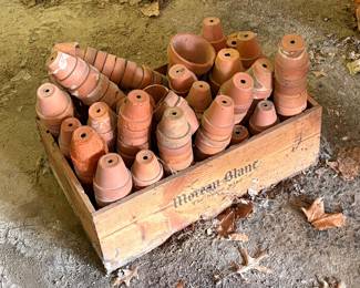 Terracotta Pots