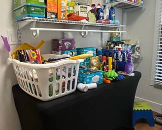 Assorted Household Cleaning Supplies and Light Bulb Inventory