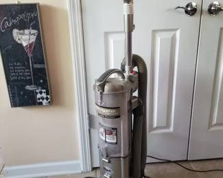 Shark vacuum