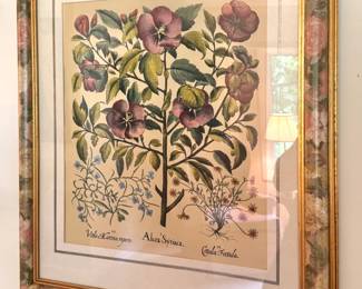 Pair of Framed Botanical Floral Prints in Decorative Floral Frames