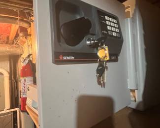 Sentry Electronic Fire Safe