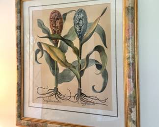 Pair of Framed Botanical Floral Prints in Decorative Floral Frames