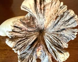 Seal Carving Style Sculpture on Driftwood
