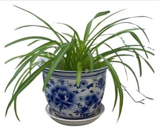 Blue & White Porcelain Planter With Chinoiserie Floral Design