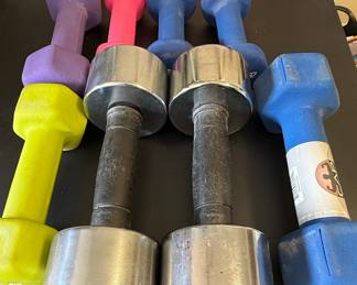 Mixed Fitness Dumbbell Collection