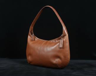 Coach Ergo Hobo Leather Shoulder Bag