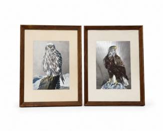 94 VintageRJSmithRaptorFoilArtPrintPairFramed