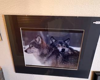 Richard Jackson Montana Wolves Photographic Print