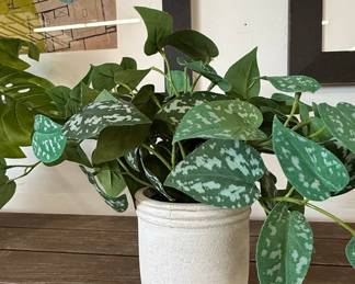 Artificial Scindapsus Pictus (Satin Pothos) in Ceramic Pot