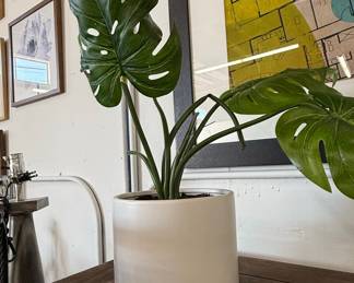 Artificial Monstera Deliciosa in White Ceramic Cylinder Planter