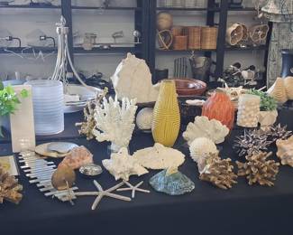 Assorted Coastal Decor and Staging Accessories Lot
