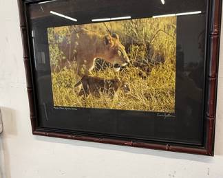 Cari Zellan Signed Lioness and Cub Photograph