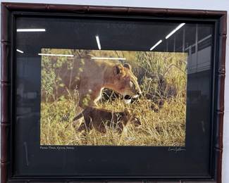 Cari Zellan Signed Lioness and Cub Photograph