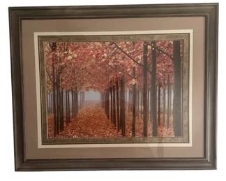 Large Framed Autumn Landscape Print Matted Tree Lane Scene