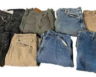 Mens Size 38 x 34 Wrangler, Blue Mountain, Schmidt Pants