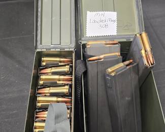 m14 loaded mags 308