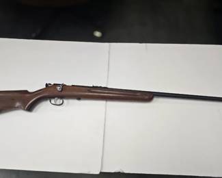 single shot 22