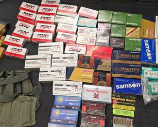 380 auto Ammo