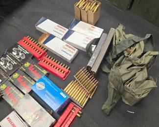 223 ammo