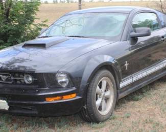 mustang