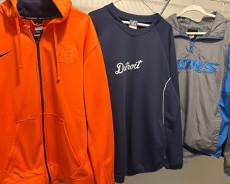 Detroit Lions, Redwings clothing , hats
