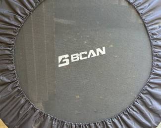 BCAN rebounder