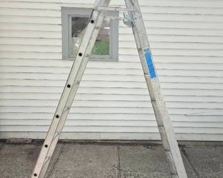 Convertible Extension Step Ladder