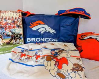 Broncos Fan Fun Lot