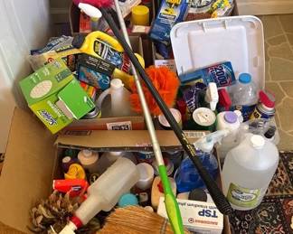 Mystery Cleaning Lot