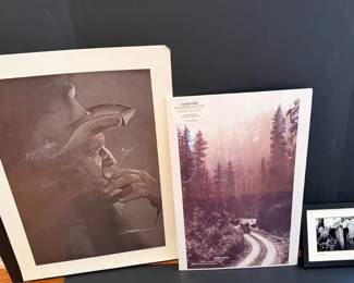 Photographic Collection
