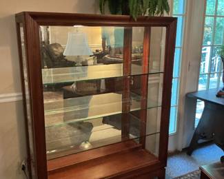 Great looking lighted, glass display cabinet, and excellent condition. From Turner furniture company in Albany.
