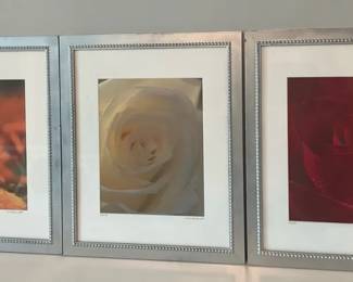 Prints By Ed Vanderwolf