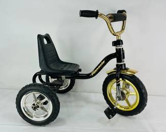 Pinnacle Tricycle