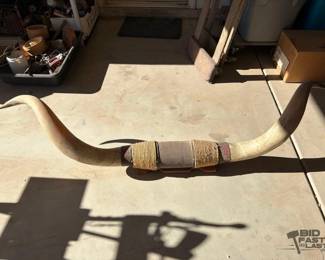 2004 Bull Horns