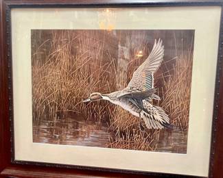 Framed Duck Print